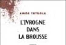 Afrique de l’Ouest et Centrale : les forêts aux abois