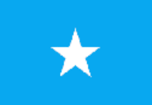 Un 15ème  gouvernement pour la Somalie