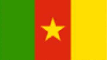 Première étude sur le marché de l'emploi au Cameroun