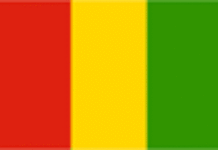 Remaniement ministériel en Guinée