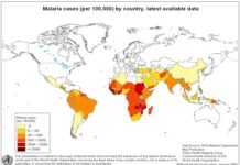 Global_Malaria.jpg