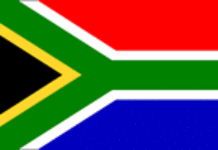 Des pays africains rapatrient leurs ressortissants d’Afrique du Sud