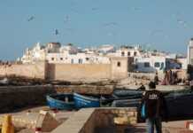 Vue générale d'Essaouira depuis le port