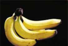 L’UE marque son désaccord avec l’OMC au sujet de la banane