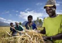 Mainmise sur les terres africaines ?