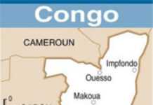 Disparition d’un avion entre le Cameroun et le Congo