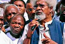 Wole Soyinka : des mots, des actes et un parti