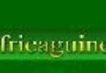 logo_Africaguinee_04.jpg