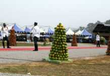 agriculture camerounaise