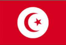 Deuxième République de Tunisie : un accouchement difficile