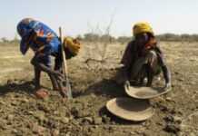 De la mauvaise gestion de la famine en Afrique de l’Est