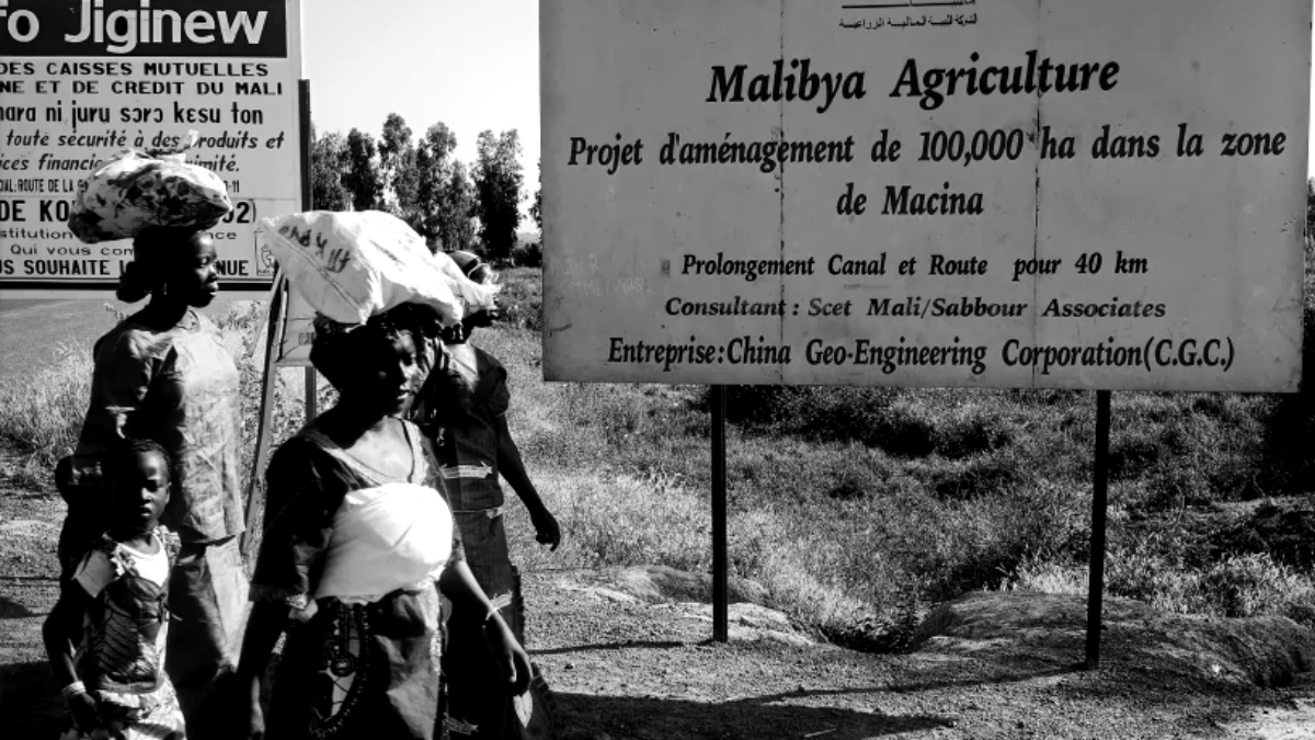 Mali, les ruines d’un business agricole