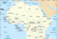 Comment construire une démocratie efficiente en Afrique