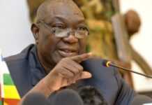 Centrafrique : Michel Djotodia accepte les exigences du sommet de N’Djamena
