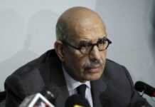 Egypte : l’opposant El Baradei appelé à remplacer Morsi