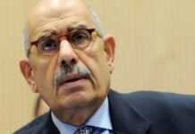 Egypte : El Baradei poursuivi en justice pour avoir quitté le gouvernement