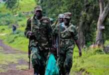 RDC : les casques bleus responsables de la fusillade de Goma ?