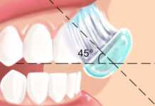 Santé bucco-dentaire : seuls deux brossages quotidiens suffisent