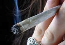 Sexualité : quand les fumeuses de cannabis se protègent moins !