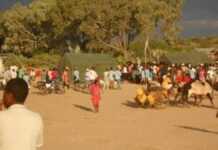 Madagascar : « guerre civile » dans le sud, 22 morts