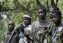 Centrafrique : près de 30 morts dans des heurts entre anti-balaka et ex-séléka