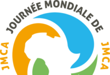 Lancement prochain de la Journée  Mondiale de la Culture Africaine (JMCA)