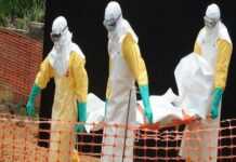 Ebola : 1013 morts en Afrique de l’Ouest !