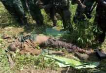 RDC : 22 morts dans une attaque des rebelles ougandais