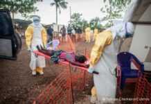 Ebola : près de 7 400 morts !