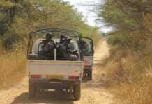 Cameroun : des dizaines d’enfants arrêtés dans un camp de Boko Haram