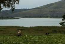 « Rumeurs du lac » : quand les eaux du Kivu révèlent leurs mythes et secrets