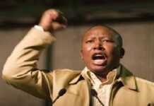 Afrique du Sud : Julius Malema, un agent de la CIA ?