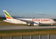 Ethiopie : 19 ans de prison pour un pilote qui avait détourné son propre avion