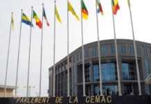 La CEMAC met fin au visa en Afrique Centrale