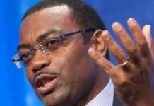 Le ministre de l’Agriculture nigérian Akinwumi Adesina à la tête de la BAD