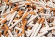 Contrebande : 64 millions de paquets de cigarettes saisis en Egypte