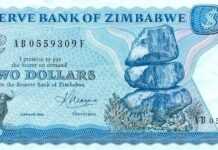 Le Zimbabwe abandonne sa monnaie