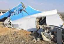 Crash de l’avion russe en Egypte : à la recherche de 61 corps disparus