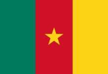 Drapeau du Cameroun