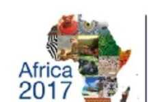 Forum Africa 2017 : des solutions pour une croissance soutenue dans le continent