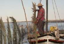 Tunisie : les Méthodes de pêche traditionnelles de Kerkennah