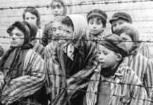 Shoah : les juifs d’Algérie indemnisés