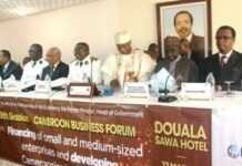 Cameroun : rencontre entre secteur public et secteur privé à Douala