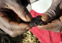 Soudan : les mutilations génitales féminines criminalisées
