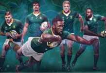 Les Springboks mettent brutalement fin au rêve du Japon