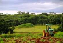 Burkina Faso : des ingénieurs mettent au point Agri Alerte, un dispositif de protection des cultures