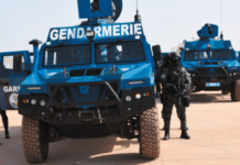 Sénégal : les gendarmes ont-ils déjoué une attaque terroriste ?