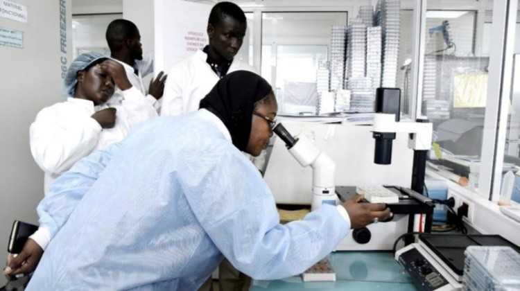 Coronavirus au Sénégal : le nombre de cas confirmés a augmenté