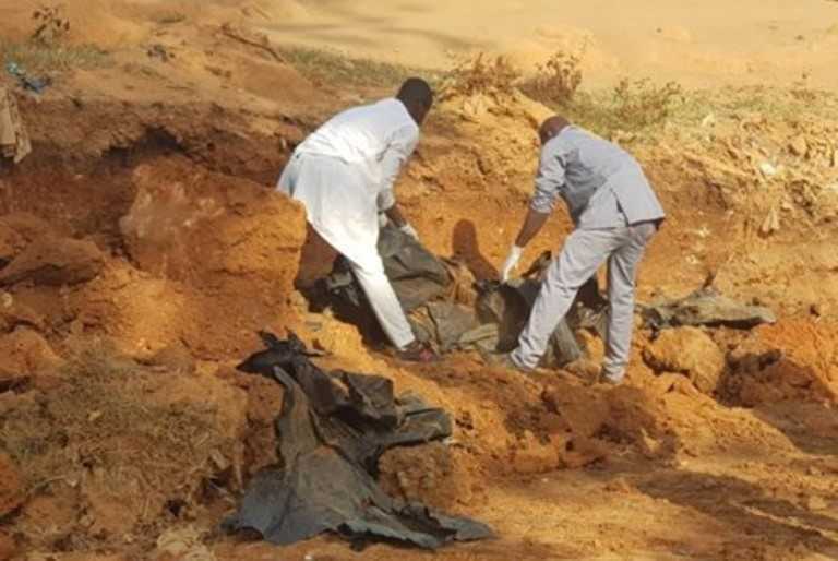 Côte d'Ivoire : des ossements humains retrouvés dans une forêt