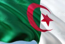 drapeau de l'Algérie